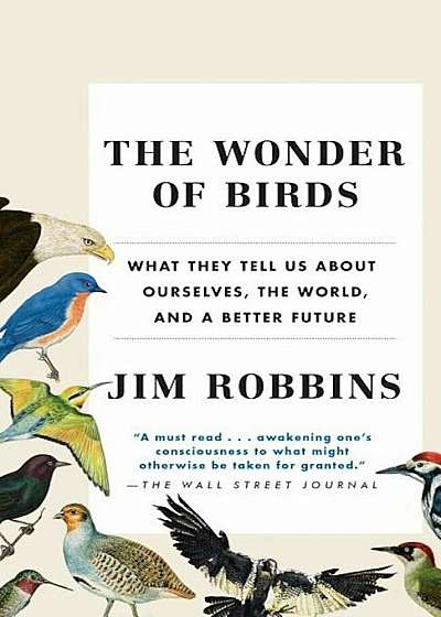 The Wonder of Birds: What They Tell Us about Ourselves, the World, and a Better Future, Paperback