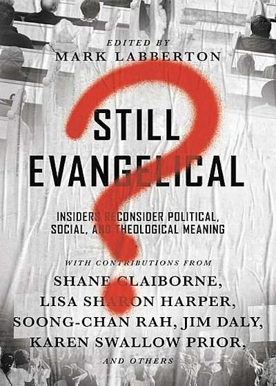 Still Evangelical': Insiders Reconsider Political, Social, and Theological Meaning, Paperback