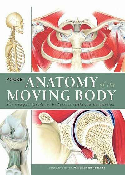 Pocket Anatomy of the Moving Body: The Compact Guide to the Science of Human Locomotion, Paperback