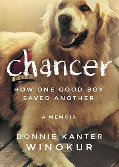 Chancer: How One Good Boy Saved Another, Paperback