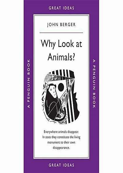 Why Look at Animals', Paperback