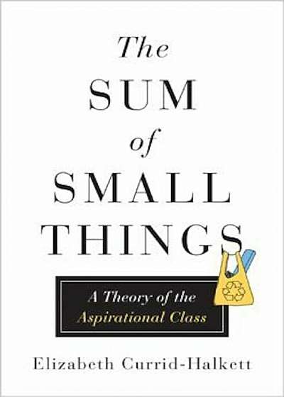 The Sum of Small Things: A Theory of the Aspirational Class, Hardcover