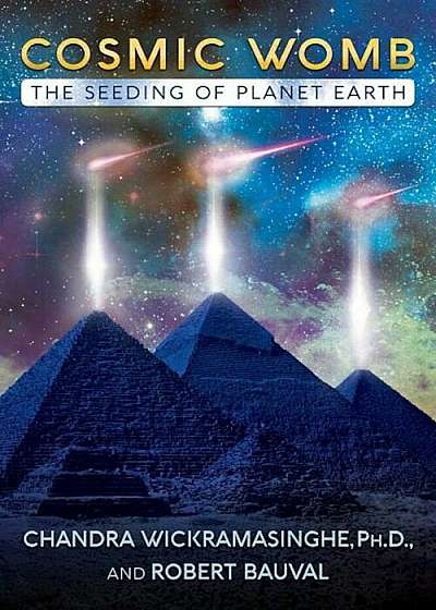 Cosmic Womb: The Seeding of Planet Earth, Paperback