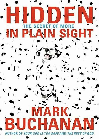 Hidden in Plain Sight: The Secret of More, Paperback