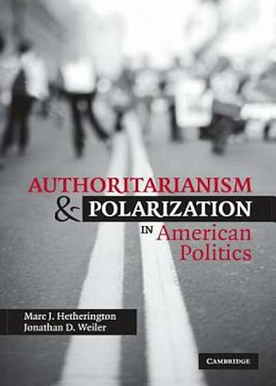 Authoritarianism and Polarization in American Politics, Paperback