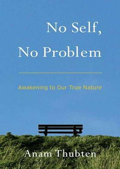 No Self, No Problem: Awakening to Our True Nature, Paperback