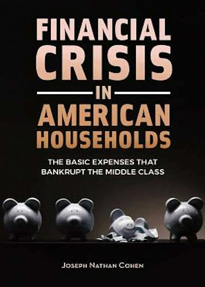 Financial Crisis in American Households: The Basic Expenses That Bankrupt the Middle Class, Hardcover