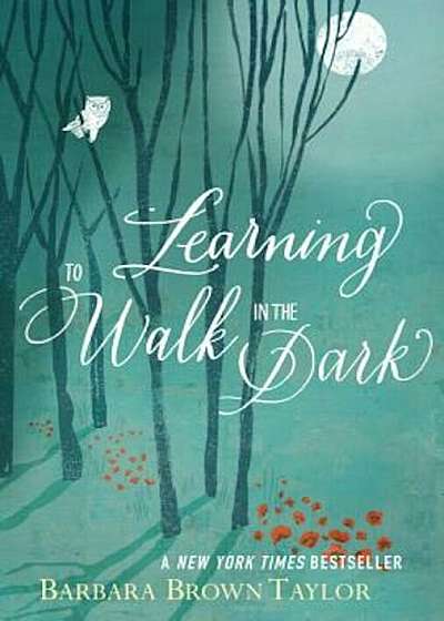 Learning to Walk in the Dark: Because Sometimes God Shows Up at Night, Paperback