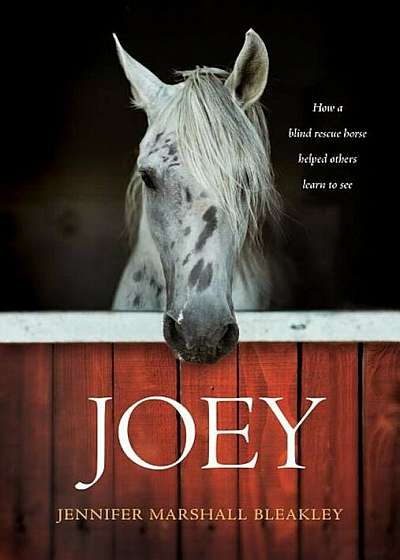 Joey: How a Blind Rescue Horse Helped Others Learn to See, Hardcover