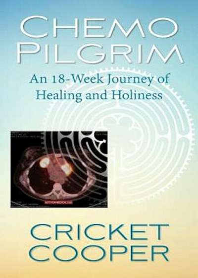 Chemo Pilgrim: An 18-Week Journey of Healing and Holiness, Paperback