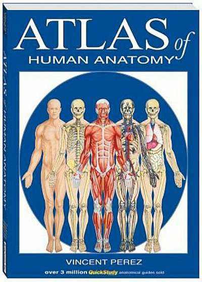 Atlas of Human Anatomy, Paperback