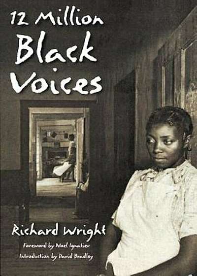 12 Million Black Voices, Paperback