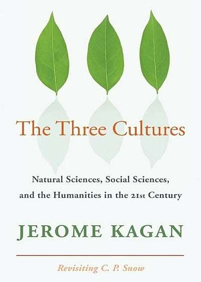 The Three Cultures: Natural Sciences, Social Sciences, and the Humanities in the 21st Century, Paperback