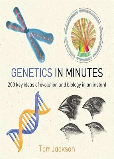 Genetics in Minutes, Paperback