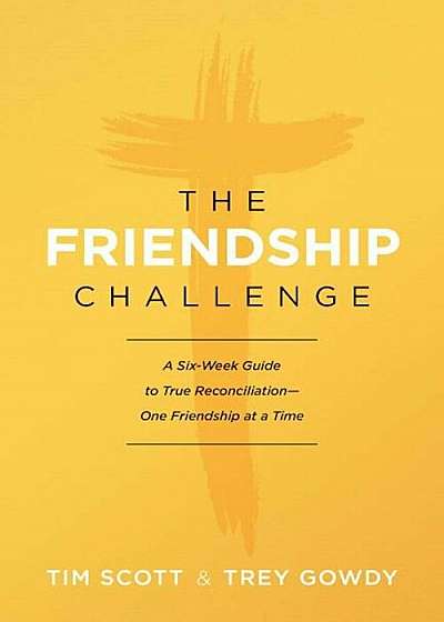 The Friendship Challenge: A Six-Week Guide to True Reconciliation--One Friendship at a Time, Paperback