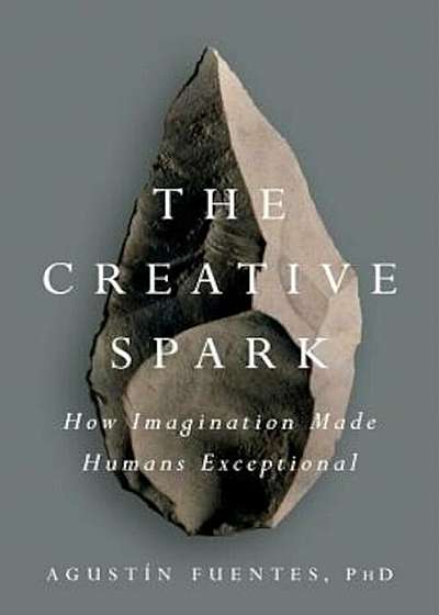 The Creative Spark: How Imagination Made Humans Exceptional, Hardcover