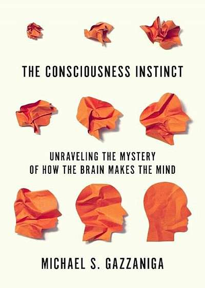 The Consciousness Instinct: Unraveling the Mystery of How the Brain Makes the Mind, Hardcover