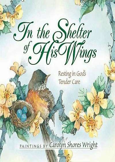 In the Shelter of His Wings: Resting in God's Tender Care, Paperback