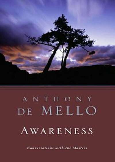 Awareness: Perils & Opportunities of Reality, Paperback