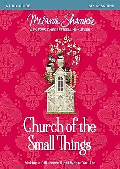 Church of the Small Things Study Guide: Making a Difference Right Where You Are, Paperback