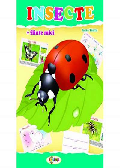 Coperta cărții Mapa - Insecte de Inesa Tautu