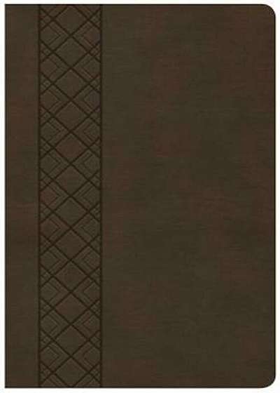 CSB Ultrathin Reference Bible, Value Edition, Brown Leathertouch, Hardcover