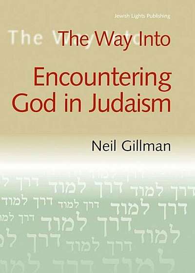 The Way Into Encountering God in Judaism, Paperback