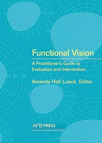 Functional Vision: A Practitioner's Guide to Evaluation and Intervention, Paperback