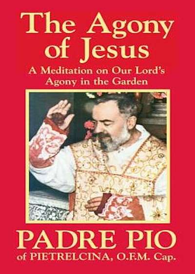 The Agony of Jesus: In the Garden of Gethsemane, Paperback