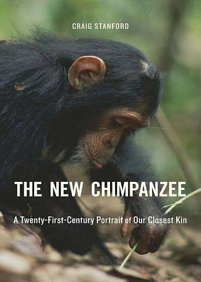 The New Chimpanzee: A Twenty-First-Century Portrait of Our Closest Kin, Hardcover