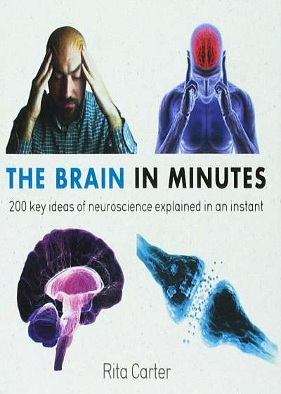 The Brain in Minutes, Paperback