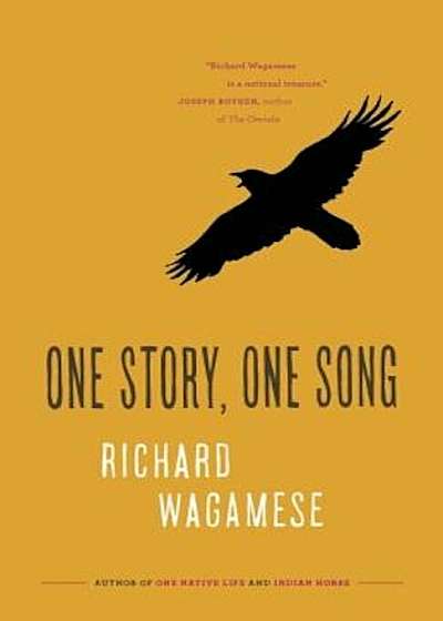 One Story, One Song, Paperback