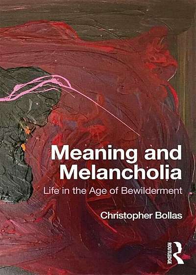 Meaning and Melancholia: Life in the Age of Bewilderment, Paperback