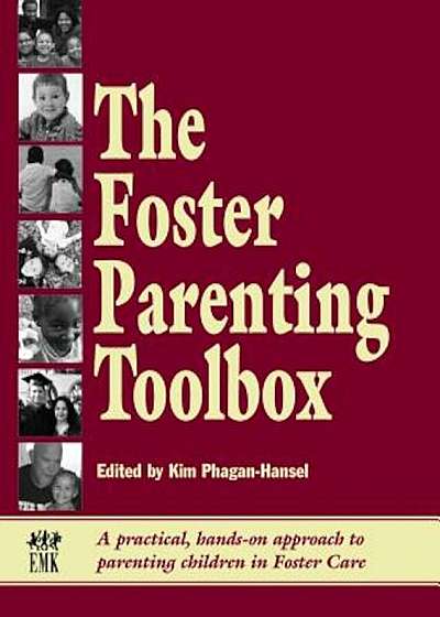 Foster Parenting Toolbox: A Practical, Hands-On Approach to Parenting Children in Foster Care, Paperback