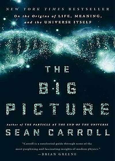 The Big Picture: On the Origins of Life, Meaning, and the Universe Itself, Paperback