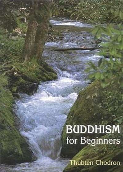Buddhism for Beginners, Paperback