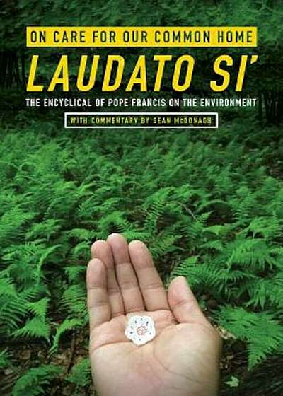 On Care for Our Common Home, Laudato Si': The Encyclical of Pope Francis on the Environment with Commentary by Sean McDonagh, Paperback
