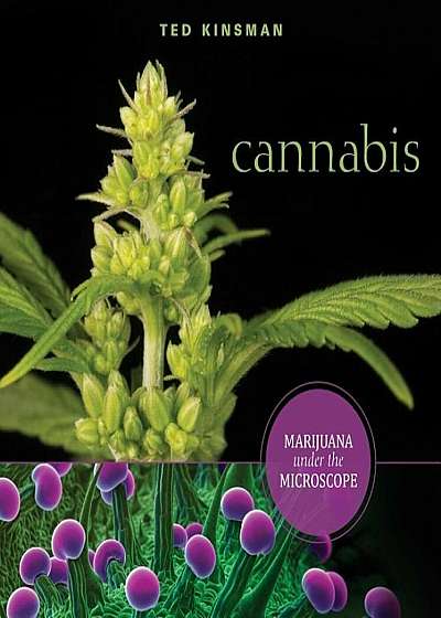 Cannabis: Marijuana Under the Microscope, Paperback