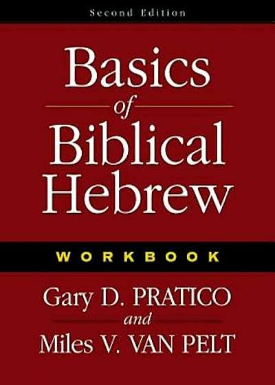 Basics of Biblical Hebrew Workbook, Paperback