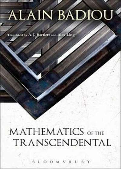 Mathematics of the Transcendental, Hardcover