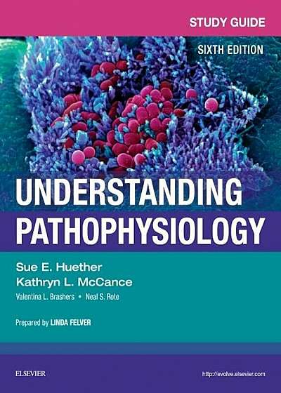 Study Guide for Understanding Pathophysiology, Paperback