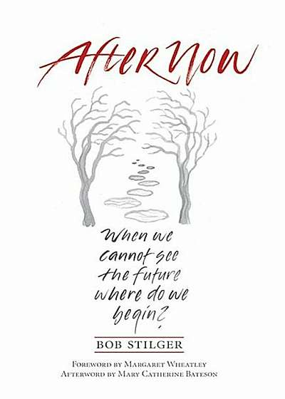 Afternow: When We See the Future Where Do We Begin', Paperback