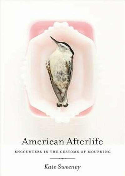 American Afterlife: Encounters in the Customs of Mourning, Hardcover