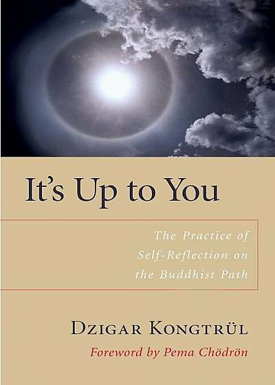 It's Up to You: The Practice of Self-Reflection on the Buddhist Path, Paperback