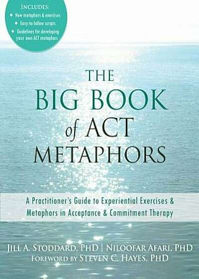 The Big Book of ACT Metaphors: A Practitioner's Guide to Experiential Exercises and Metaphors in Acceptance and Commitment Therapy, Paperback