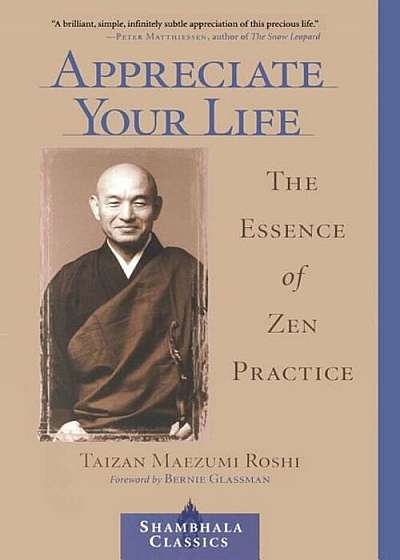 Appreciate Your Life: The Essence of Zen Practice, Paperback