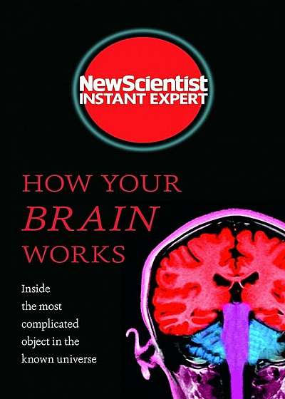 How Your Brain Works: Inside the Most Complicated Object in the Known Universe, Paperback