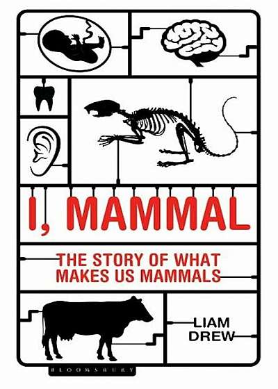 I, Mammal: The Story of What Makes Us Mammals, Hardcover