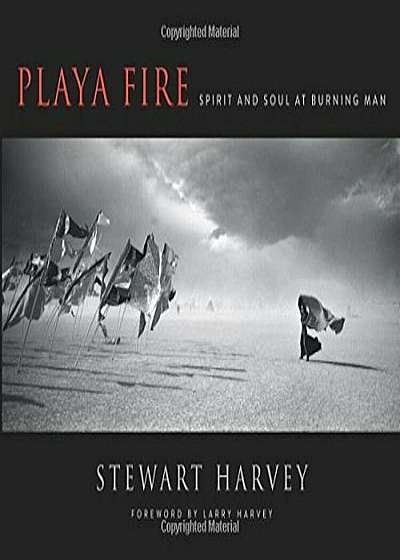 Playa Fire: Spirit and Soul at Burning Man, Hardcover