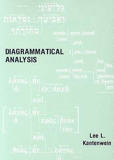 Diagrammatical Analysis, Paperback